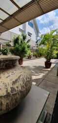 Serangoon Garden Estate (D19), Terrace #273411371